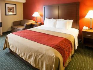 Room #49068908 at Comfort Inn & Suites Statesville - Mooresville