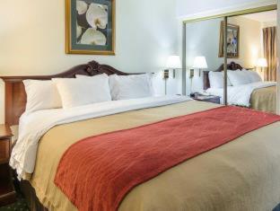Room #49209211 at Comfort Inn Chester - Richmond South