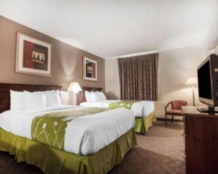 Room #48979710 at Econo Lodge Inn & Suites Des Moines Fairgrounds Area