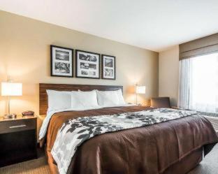 Room #137191309 at Sleep Inn & Suites Hannibal West