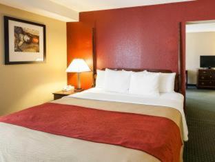 Room #49068910 at Comfort Inn & Suites Statesville - Mooresville