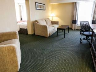 Room #49068910 at Comfort Inn & Suites Statesville - Mooresville