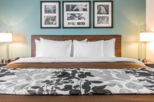 Room #184874314 at Sleep Inn & Suites Cumberland - LaVale