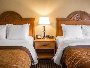 Room #49103309 at Comfort Inn East