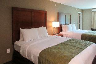 Room #530915108 at Comfort Inn & Suites Hadley - Amherst