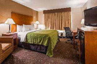 Room #49227906 at Quality Inn Tomah