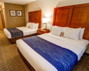 Room #48911013 at Comfort Inn & Suites Murrieta Temecula Wine Country