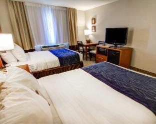 Room #48911013 at Comfort Inn & Suites Murrieta Temecula Wine Country