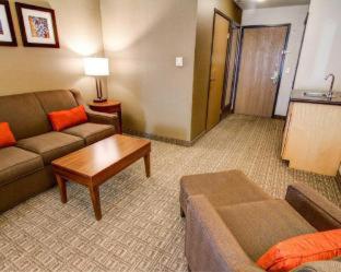 Room #48911013 at Comfort Inn & Suites Murrieta Temecula Wine Country