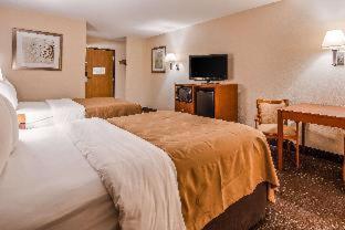 Room #49227909 at Quality Inn Tomah