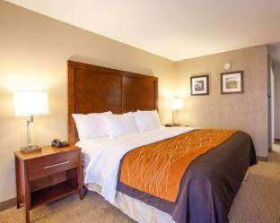 Room #48878806 at Quality Inn & Suites I-40 East