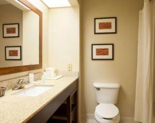 Room #48878806 at Quality Inn & Suites I-40 East