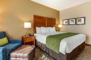 Room #530915112 at Comfort Inn & Suites Hadley - Amherst