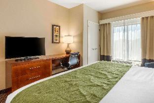Room #530915112 at Comfort Inn & Suites Hadley - Amherst