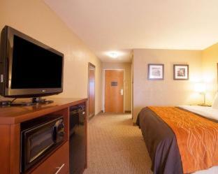 Room #48878807 at Quality Inn & Suites I-40 East