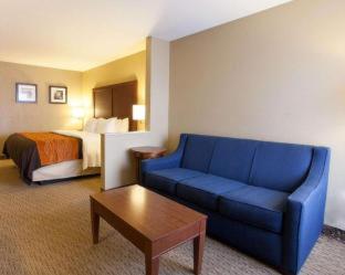 Room #48878807 at Quality Inn & Suites I-40 East