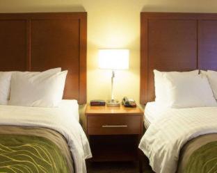 Room #48878809 at Quality Inn & Suites I-40 East