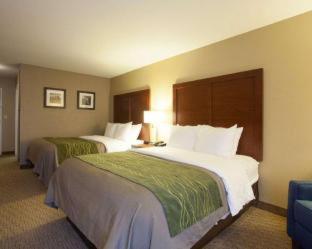 Room #48878809 at Quality Inn & Suites I-40 East