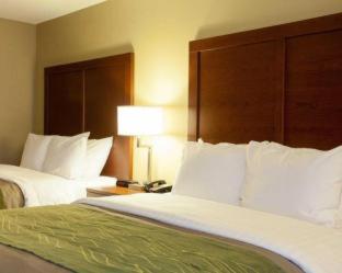Room #48878810 at Quality Inn & Suites I-40 East