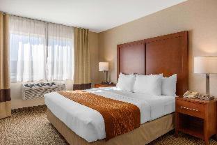 Room #48911016 at Comfort Inn & Suites Murrieta Temecula Wine Country