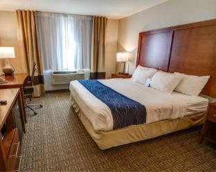 Room #48911016 at Comfort Inn & Suites Murrieta Temecula Wine Country
