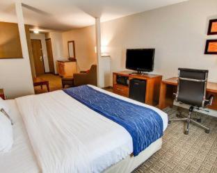 Room #48911016 at Comfort Inn & Suites Murrieta Temecula Wine Country