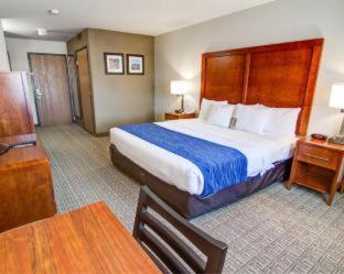 Room #48911016 at Comfort Inn & Suites Murrieta Temecula Wine Country