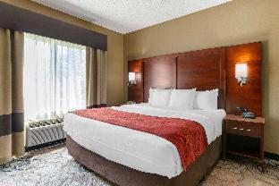 Room #31997108 at Holiday Inn Express & Suites Southfield Detroit by IHG