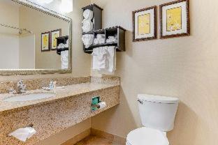 Room #31997109 at Holiday Inn Express & Suites Southfield Detroit by IHG