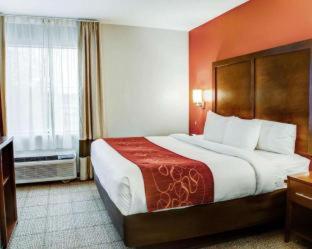 Room #49189707 at Comfort Suites Tyler South