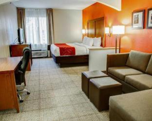 Room #49189707 at Comfort Suites Tyler South