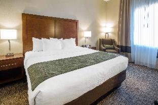 Room #277885714 at Comfort Inn & Suites
