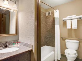 Room #18273421 at Red Lion Inn & Suites Houston IAH Airport