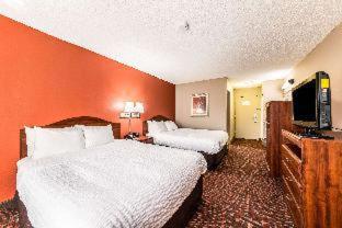 Room #49072612 at Clarion Inn & Suites