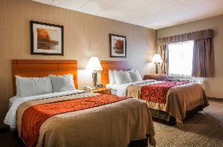 Room #49222708 at Comfort Inn White River Junction