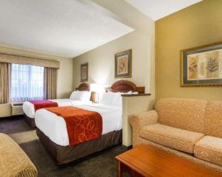 Room #49228413 at Comfort Suites Green Bay West