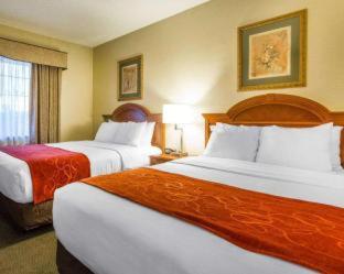 Room #49228413 at Comfort Suites Green Bay West