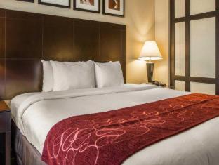 Room #26152010 at Comfort Suites Huntersville near Lake Norman