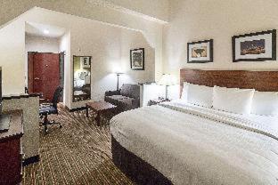 Room #49201112 at Quality Inn & Suites West Chase