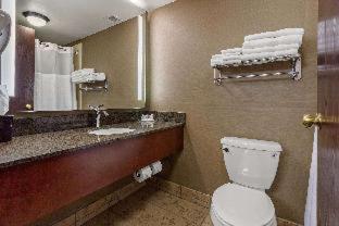 Room #49228418 at Comfort Suites Green Bay West