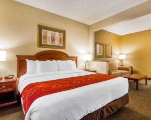 Room #49228419 at Comfort Suites Green Bay West