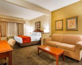 Room #49228419 at Comfort Suites Green Bay West