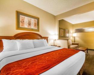 Room #49228419 at Comfort Suites Green Bay West