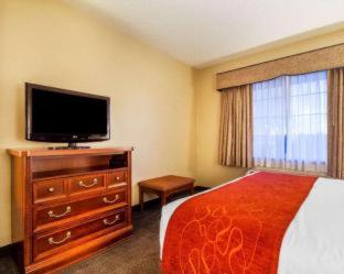 Room #49228419 at Comfort Suites Green Bay West