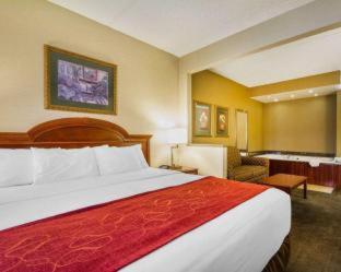Room #49228420 at Comfort Suites Green Bay West