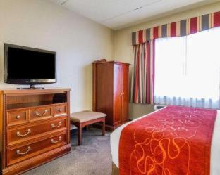 Room #49228420 at Comfort Suites Green Bay West