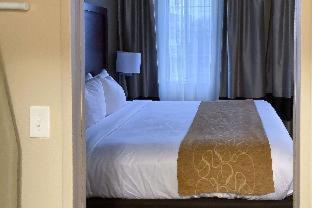 Room #49178118 at Comfort Suites Clarksville near Governors Square Mall