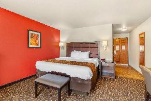Room #49503320 at Sonesta Essential Minot