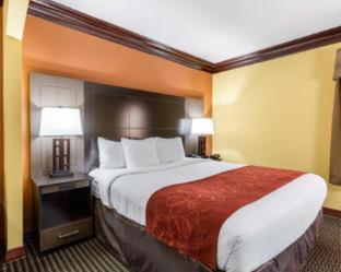 Room #49186407 at Comfort Suites Lake Jackson Clute