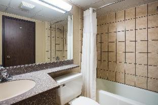 Room #143263029 at AmericInn by Wyndham Janesville